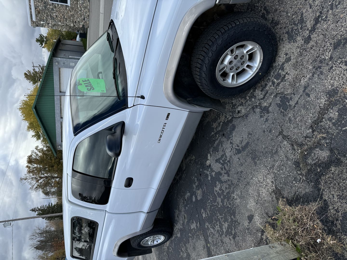 1998 Dodge Dakota Base's photo